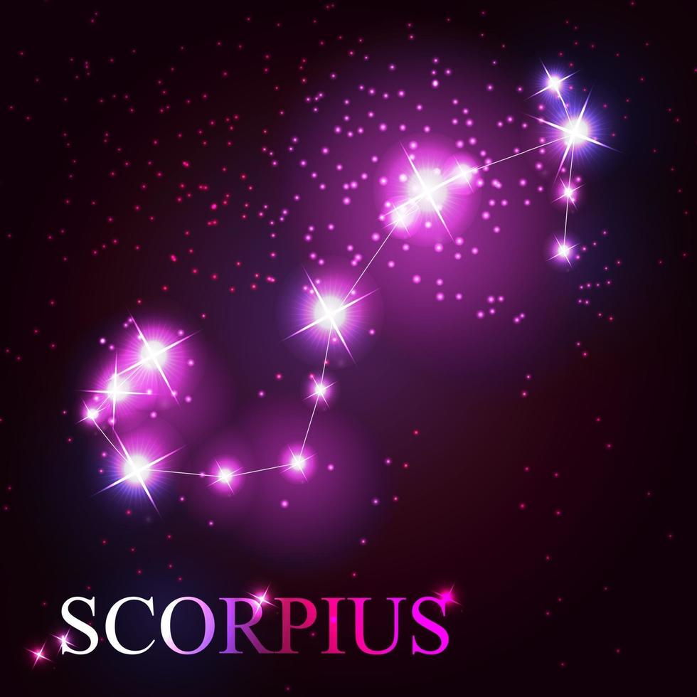 Escorpio signo del zodíaco de las hermosas estrellas brillantes. vector