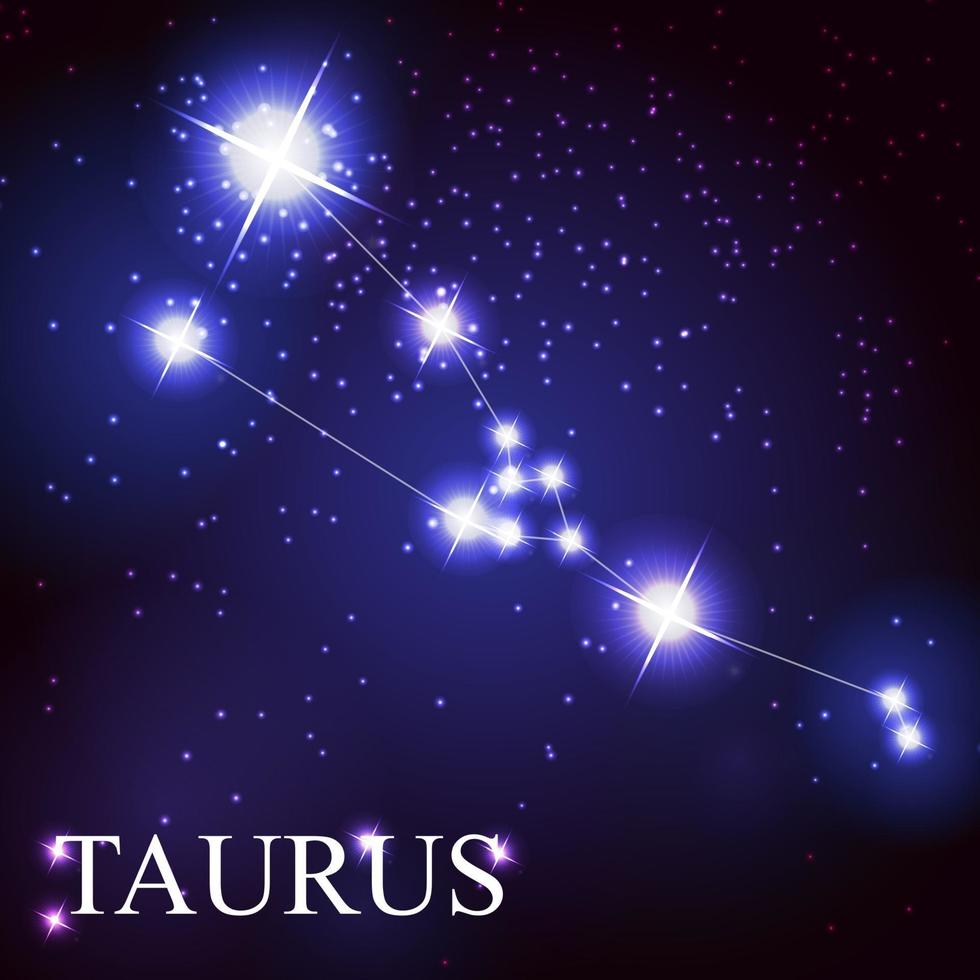 taurus zodiac sign of the beautiful bright stars vector