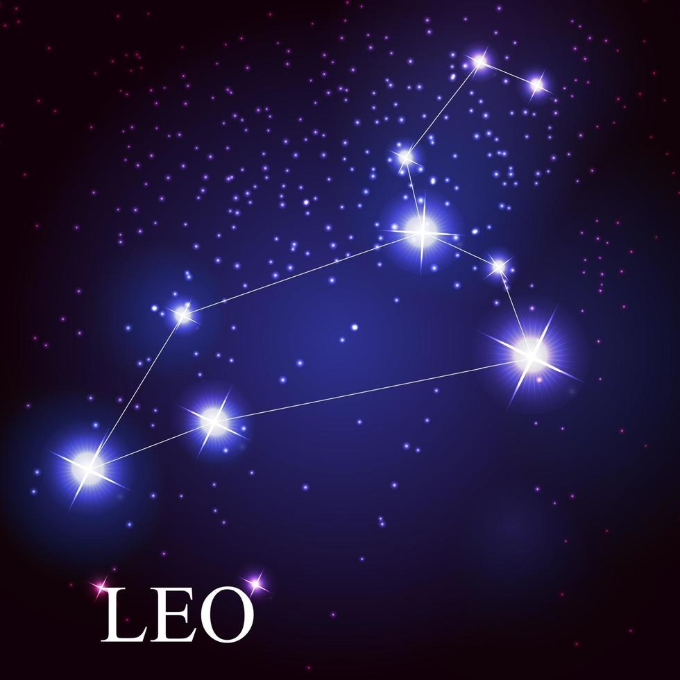 Leo signo del zodíaco de las hermosas estrellas brillantes. vector