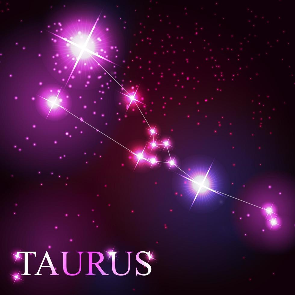 taurus zodiac sign of the beautiful bright stars vector