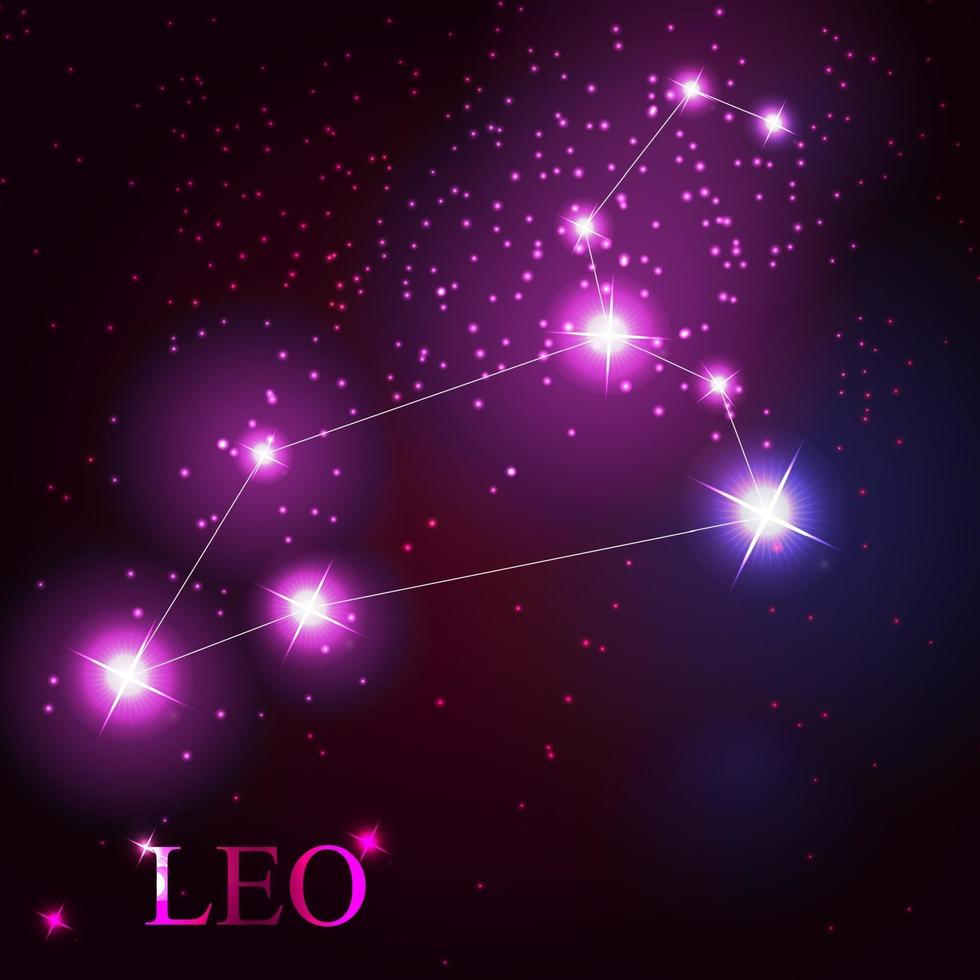 leo zodiac sign of the beautiful bright stars vector