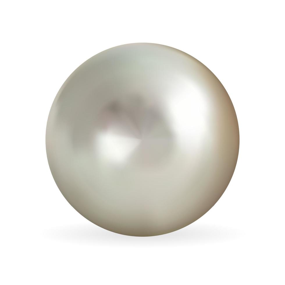 Realistic 3D Pearl isolated on white background. vector