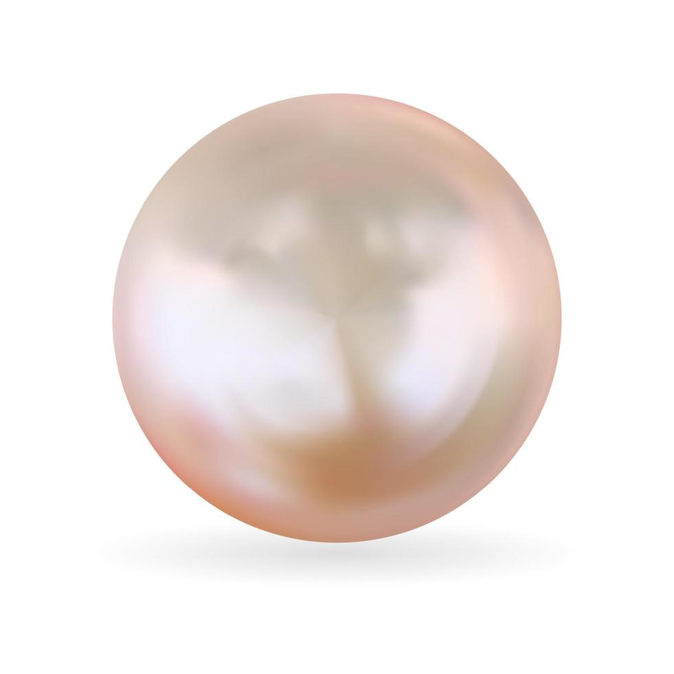 Realistic 3D Pearl isolated on white background. vector