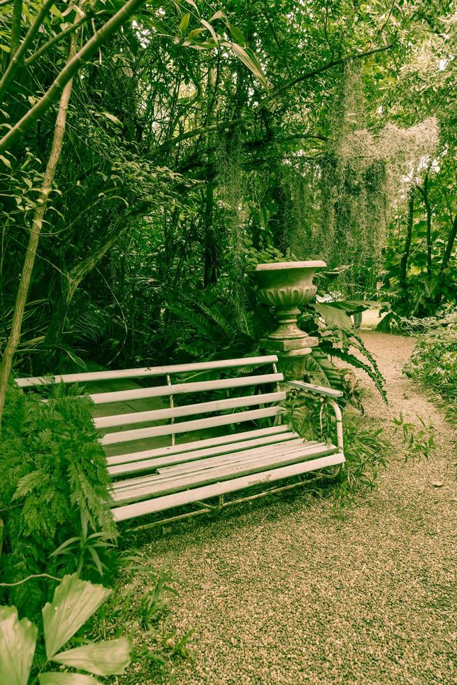 Old bench in park - vintage effect filter photo