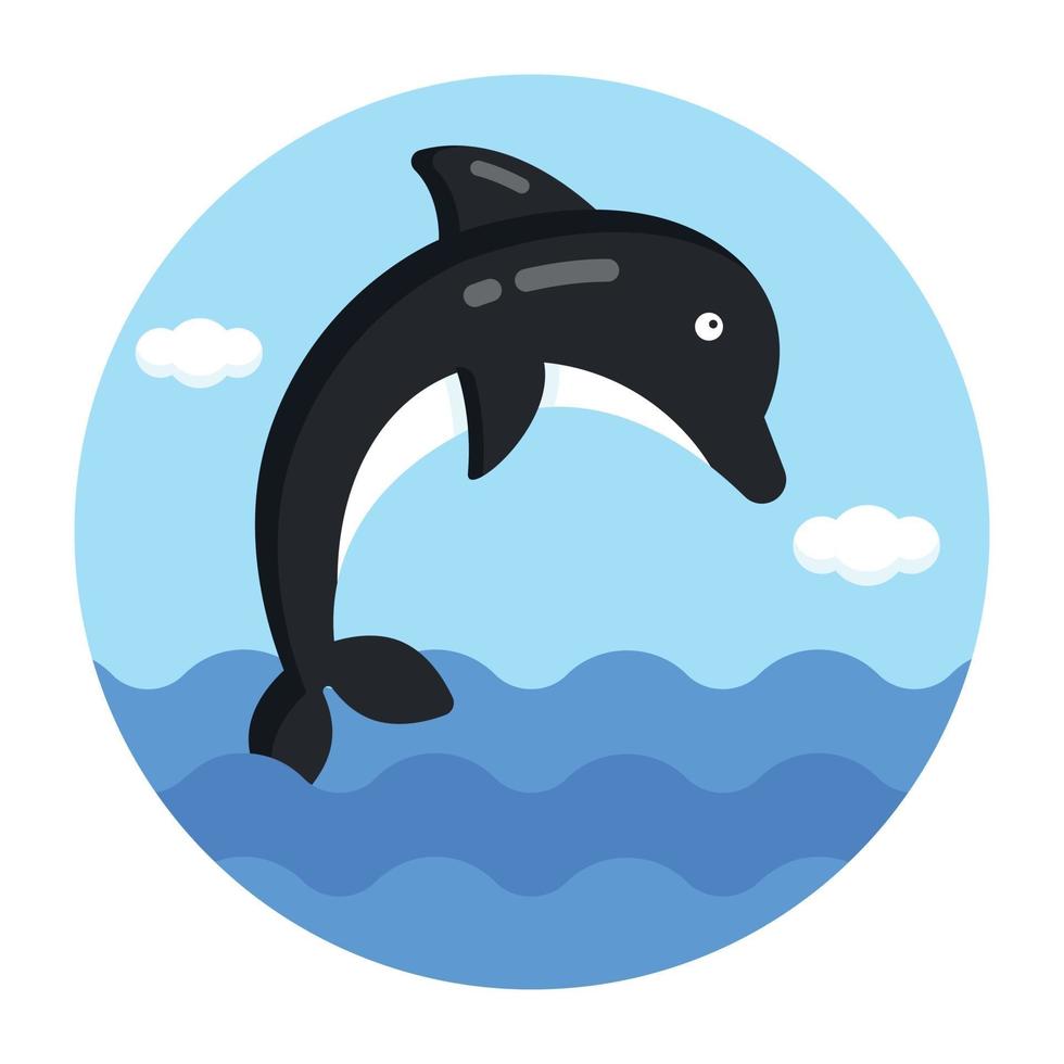 Dolphin and sea animal vector