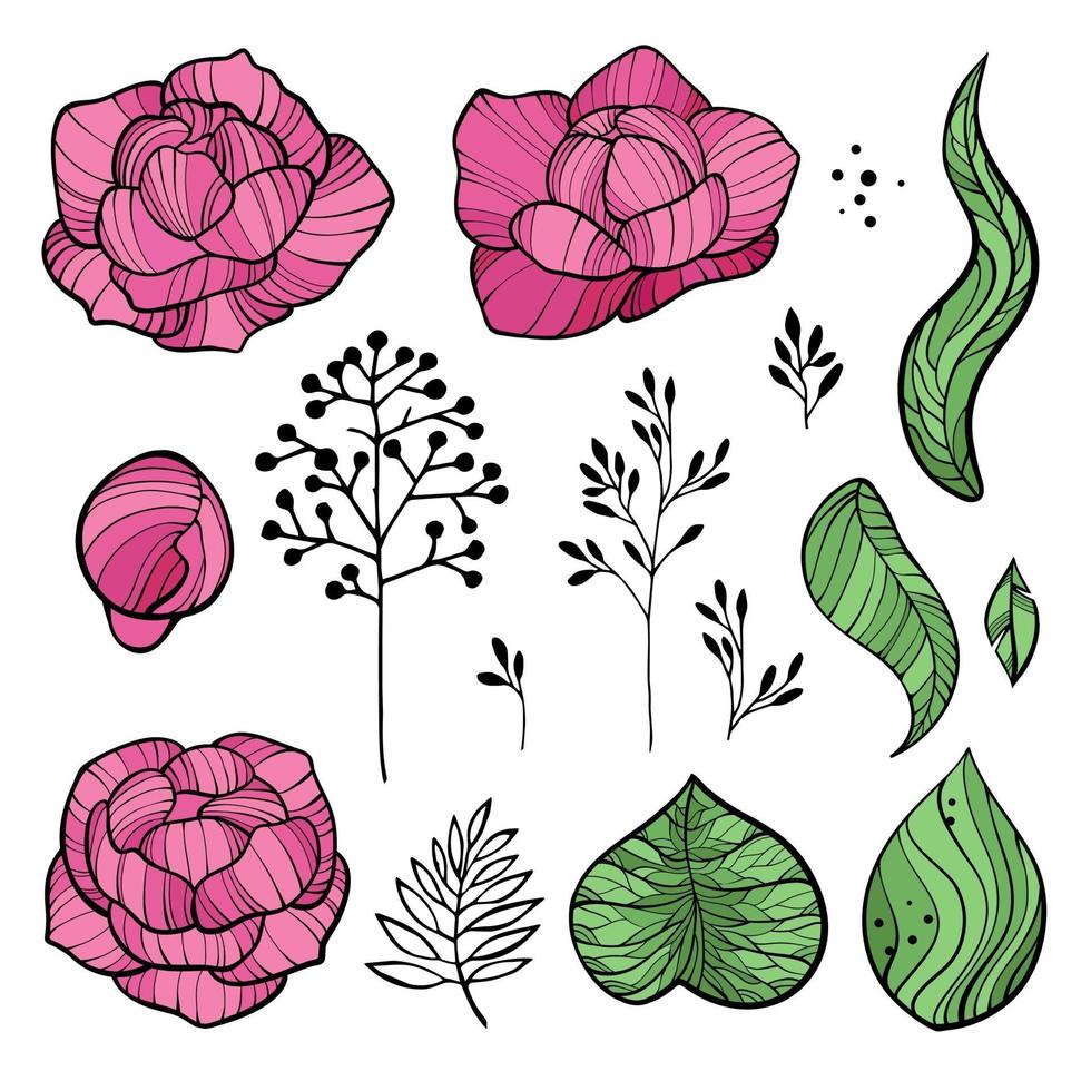 conjunto de dibujos de flores de peonía. Ilustración de flor abstracta. vector