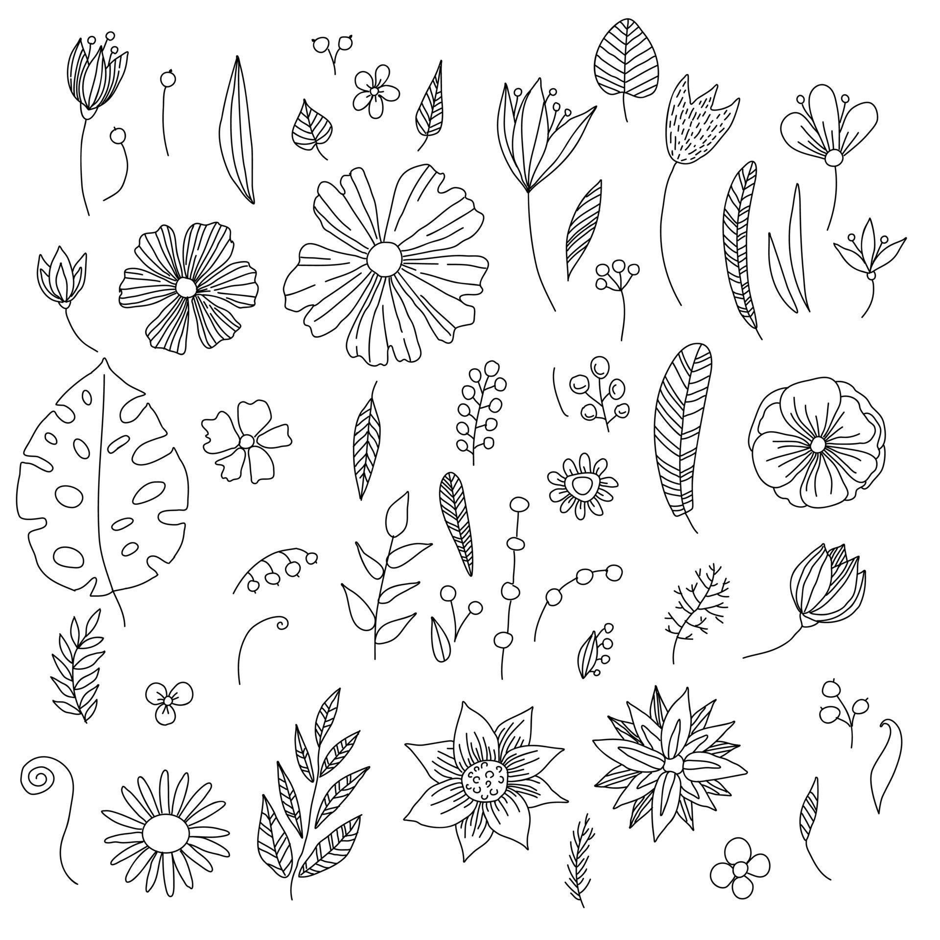 Collection of hand drawn flowers and plants. Monochrome vector 3211424 ...