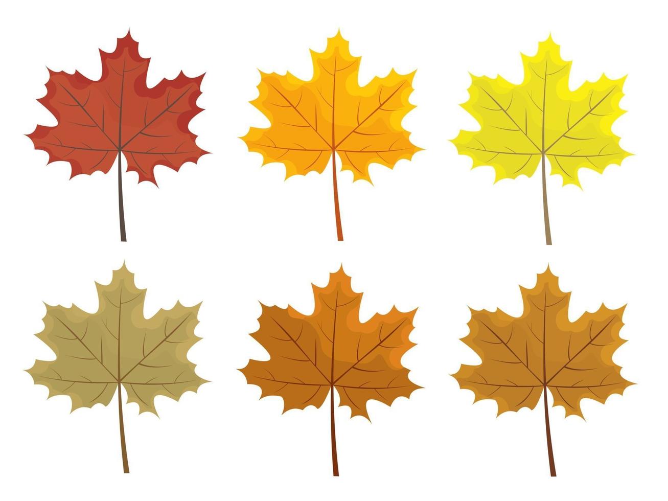 Set of colorful autumn leaves. Cartoon and flat style leafs. vector