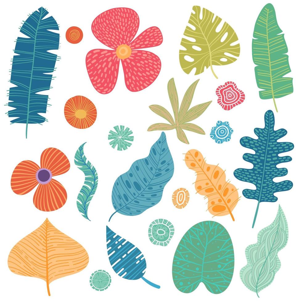Set of tropical leaves. Vector cartoon rainforest leaves isolated