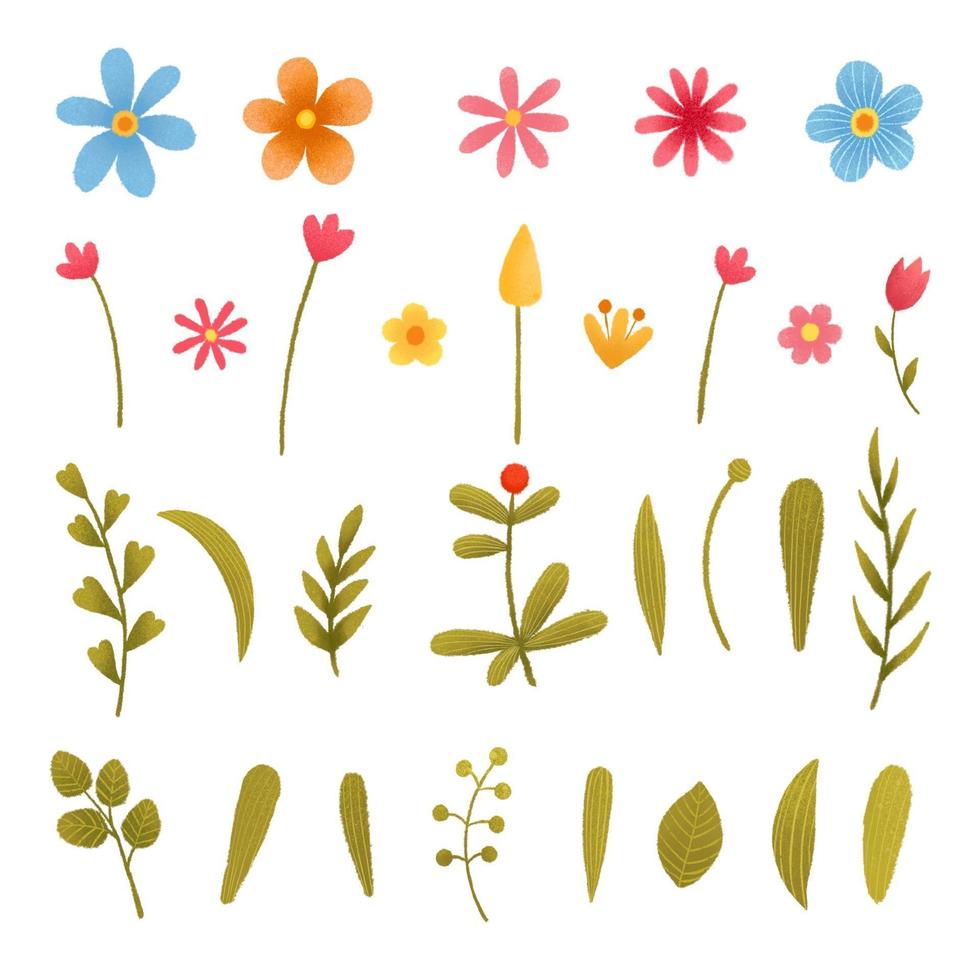 Vector floral set.Collection with leaves.Spring or summer design