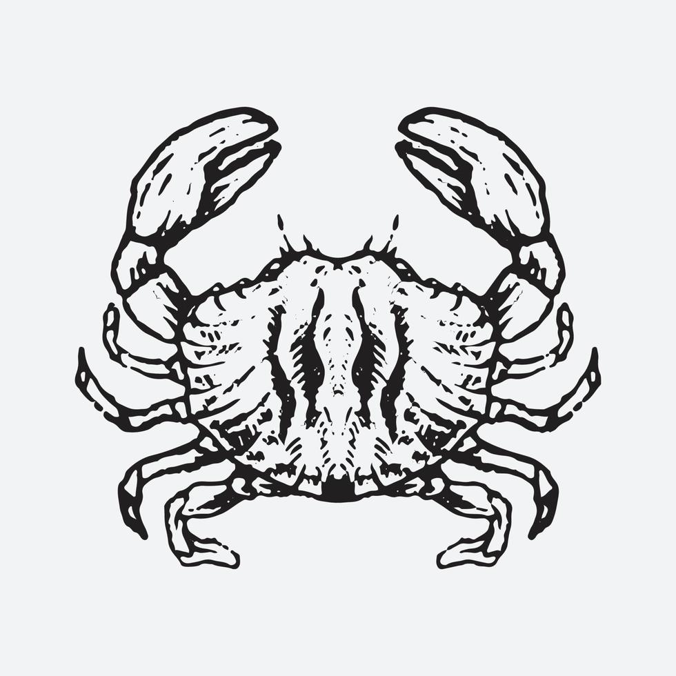 Crab drawing illustration vector