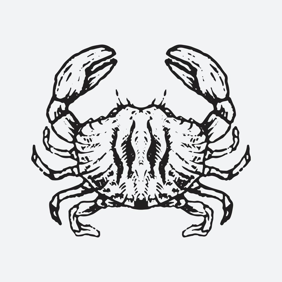 Crab drawing illustration vector