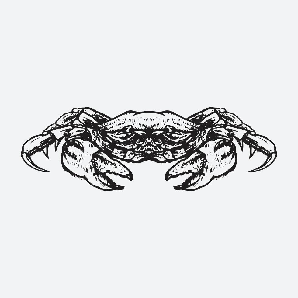 Ilustración de dibujo de cangrejo vector