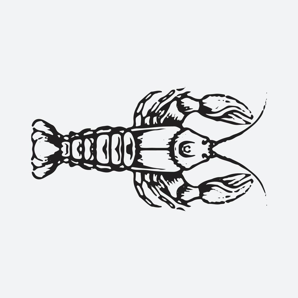 Shrimp drawing illustration vector