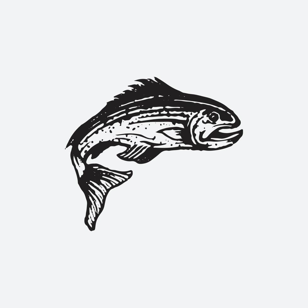Salmon fish drawing vector