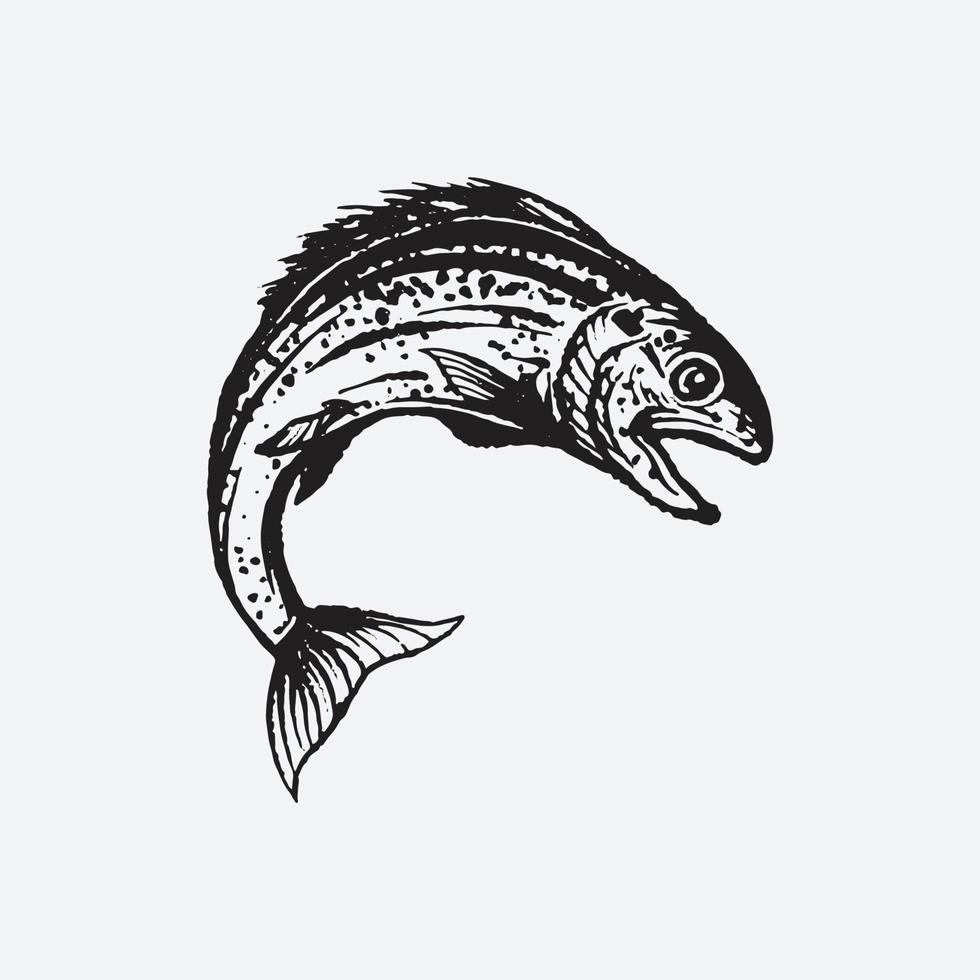 Salmon fish drawing vector