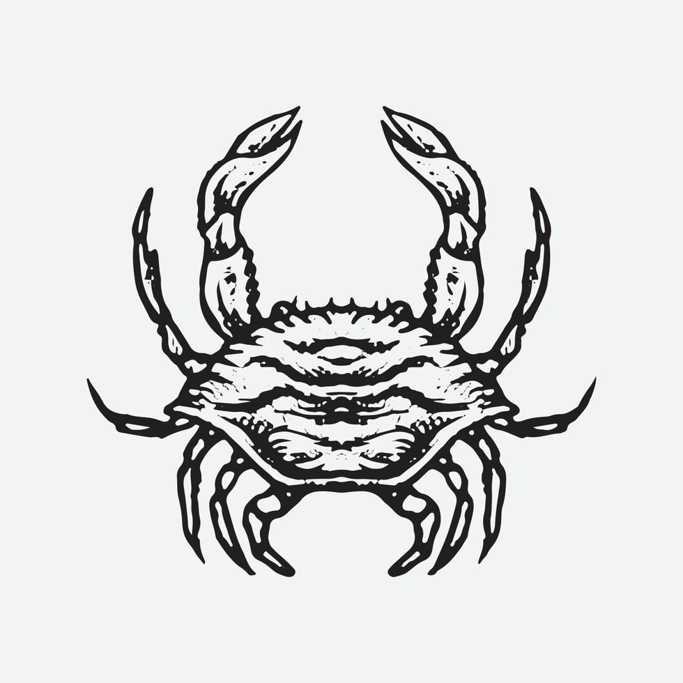 Crab drawing illustration vector