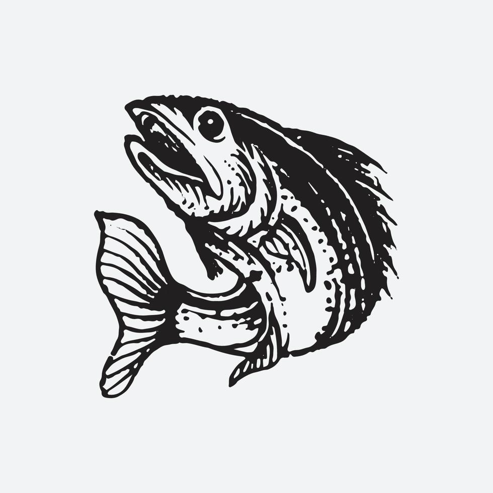 Salmon fish drawing vector