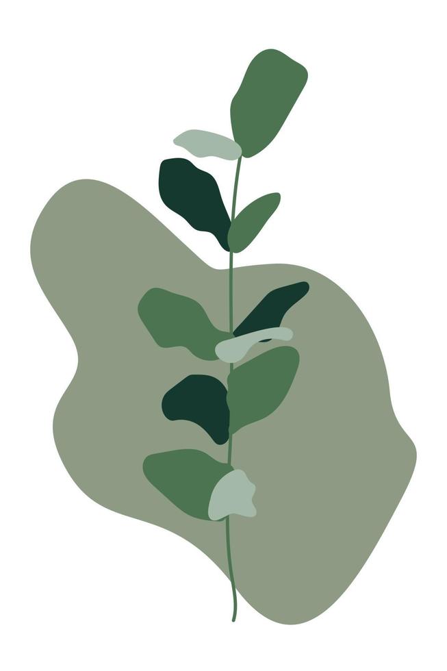 A sprig of eucalyptus on a white background, abstract. vector