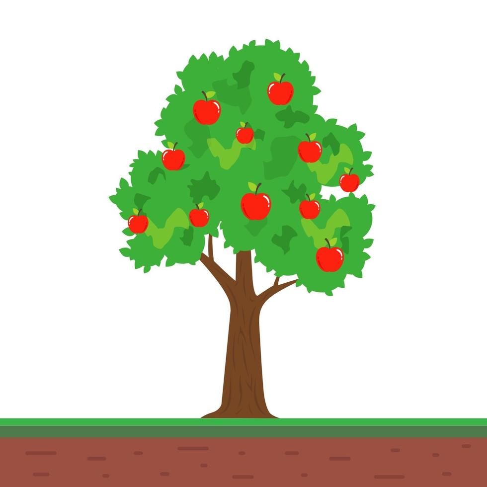 small tree with apple fruits. fruitful apple tree in the garden. 3211690  Vector Art at Vecteezy