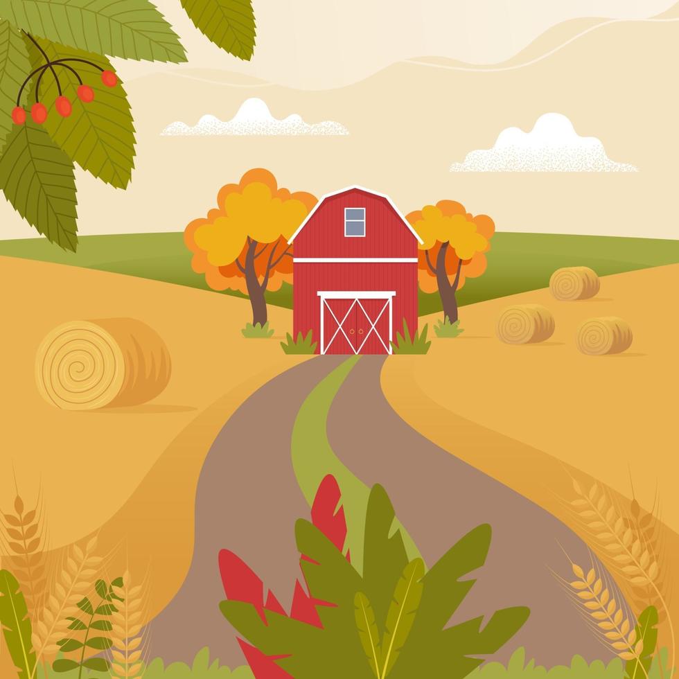 Rural landscape with farmhouse and ears of wheat. Vector illustration