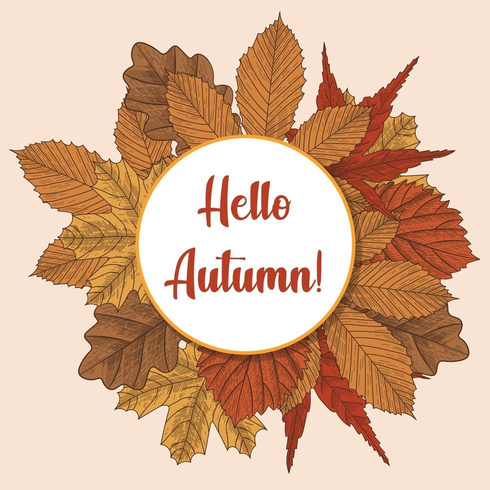 Hello autumn background with leaves frame in engraved style vector