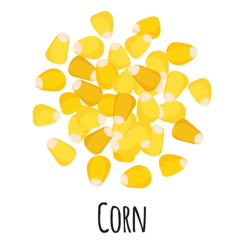 Corn for template farmer market design, label and packing. vector