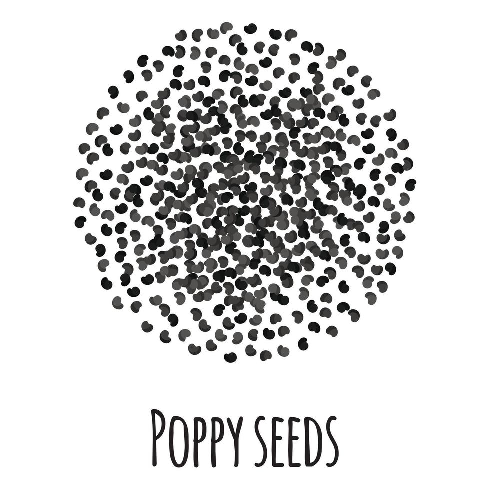 semillas de amapola para el diseño, la etiqueta y el embalaje del mercado del agricultor de la plantilla. vector