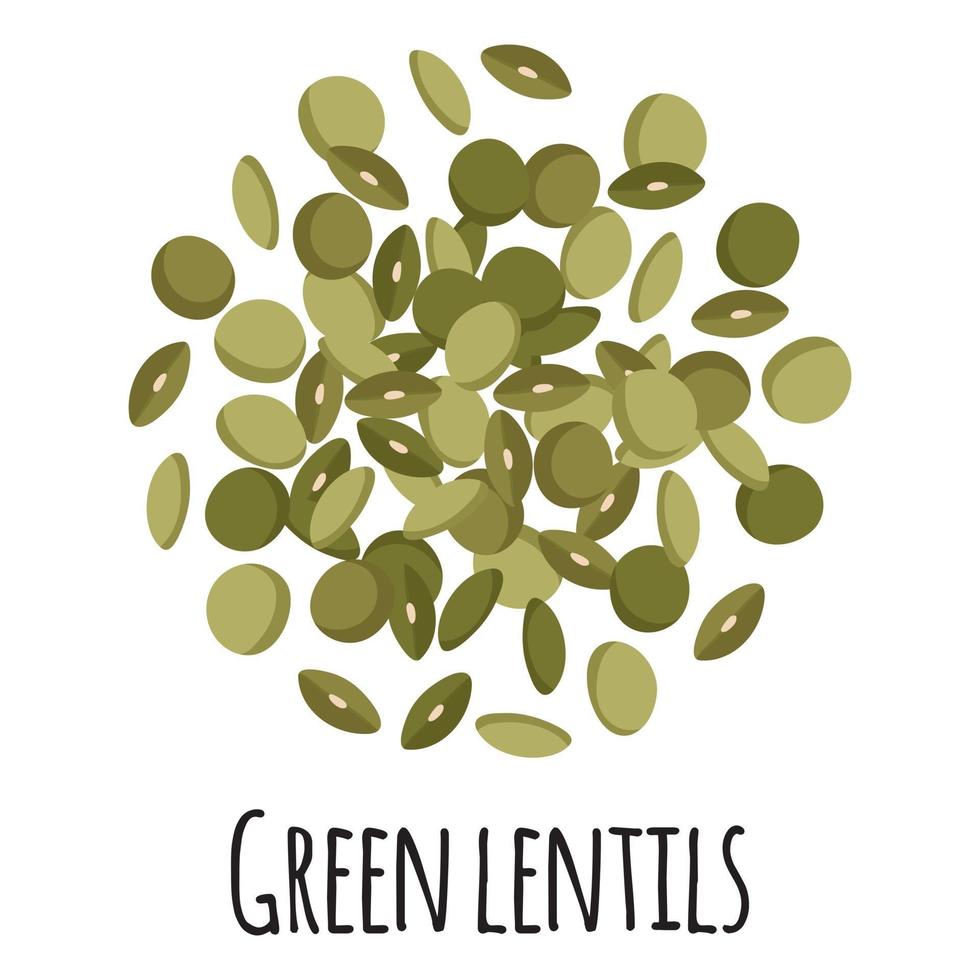 Green lentils for template farmer market design, label and packing. vector