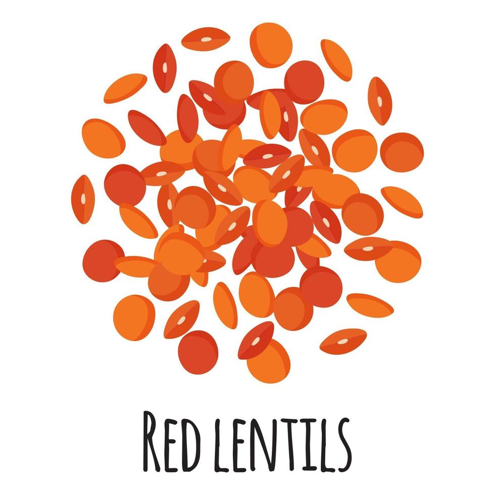 Red lentils for template farmer market design, label and packing. vector