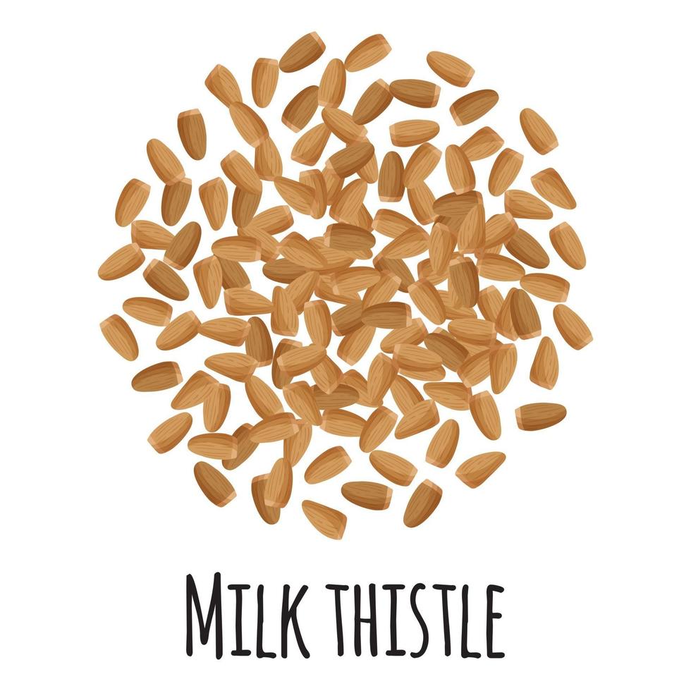 Milk thistle for template farmer market design, label and packing. vector