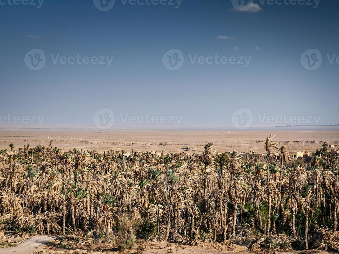 Vista del paisaje desértico en el oasis de Garmeh, cerca de Yazd, en el sur de Irán foto