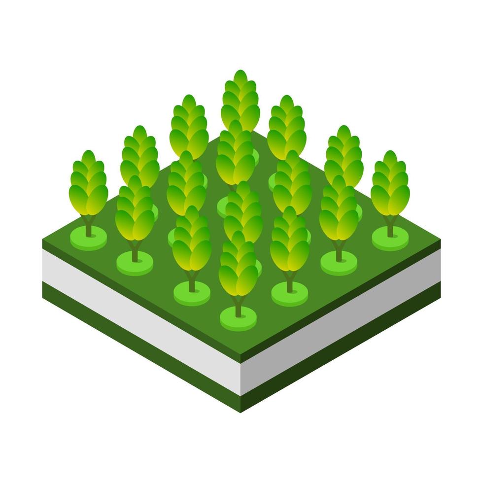 Isometric trees on a white background vector