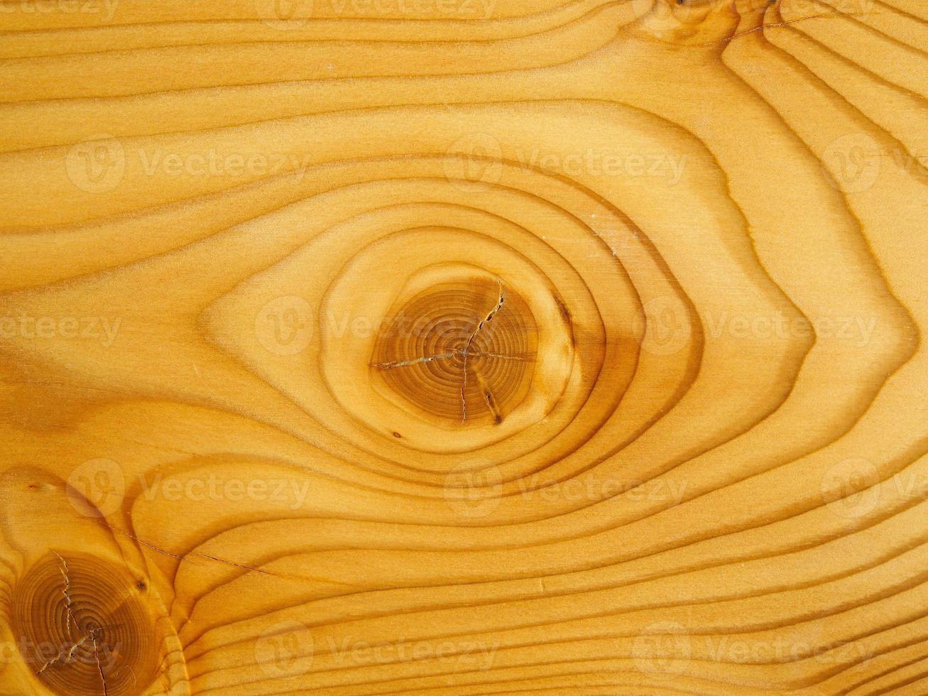 Brown larch wood background photo