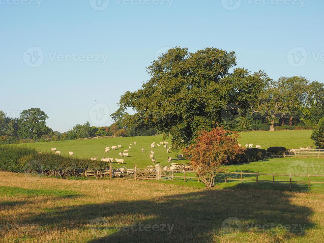 vista de tanworth en arden foto