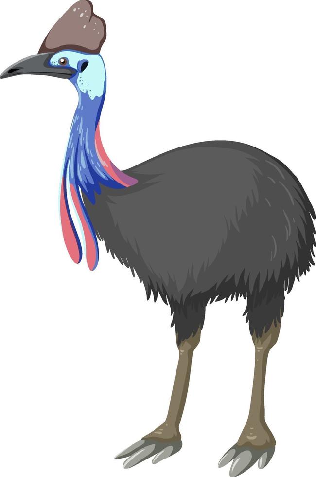 Cassowary cartoon isolated on white background vector