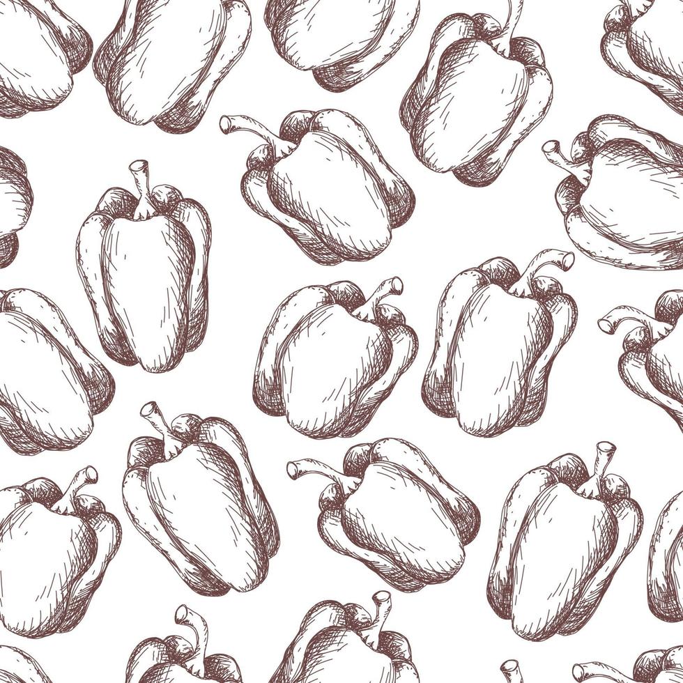 vintage peppers on white background, seamless pattern vector