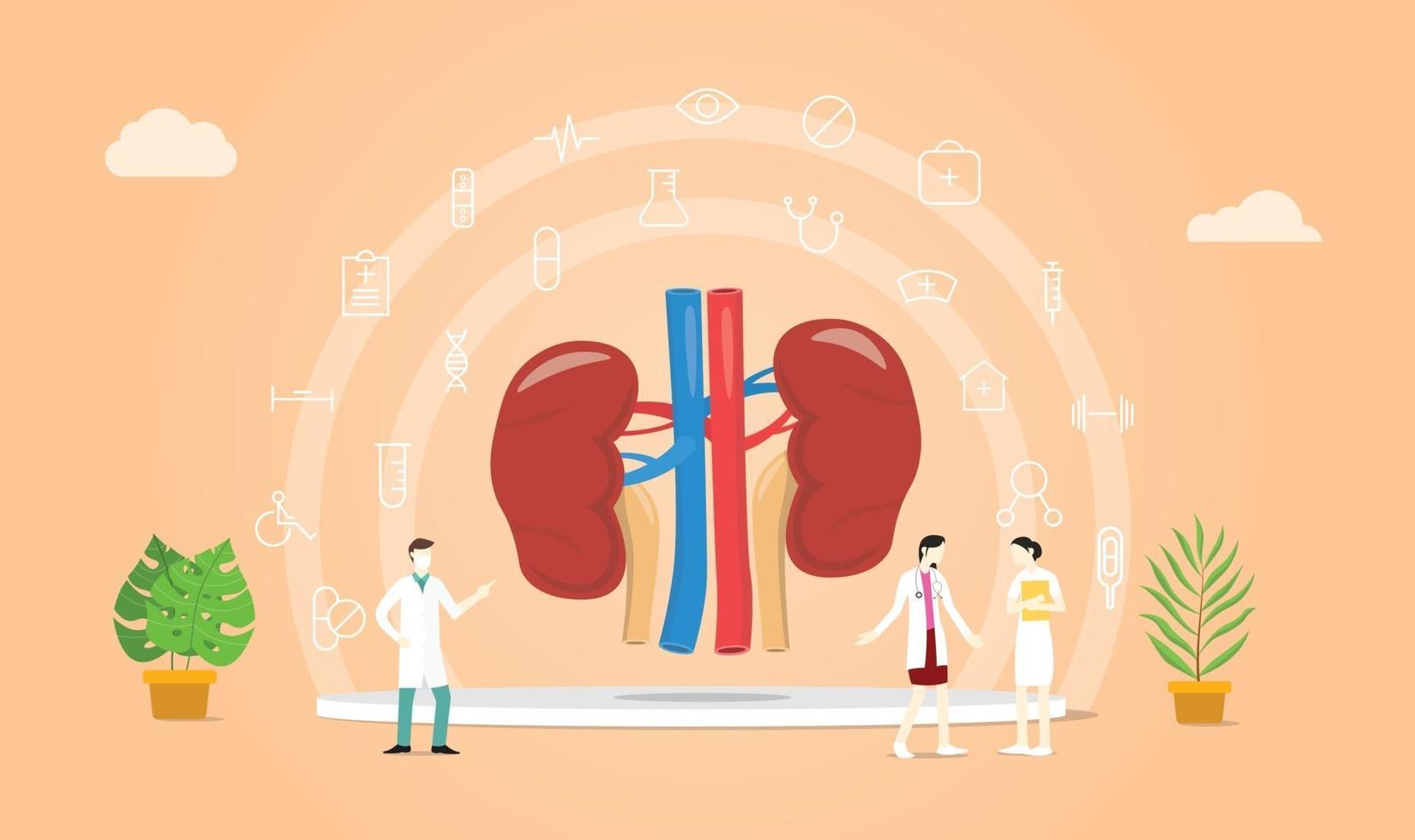 human kidney health with doctor team discuss and healthy vector