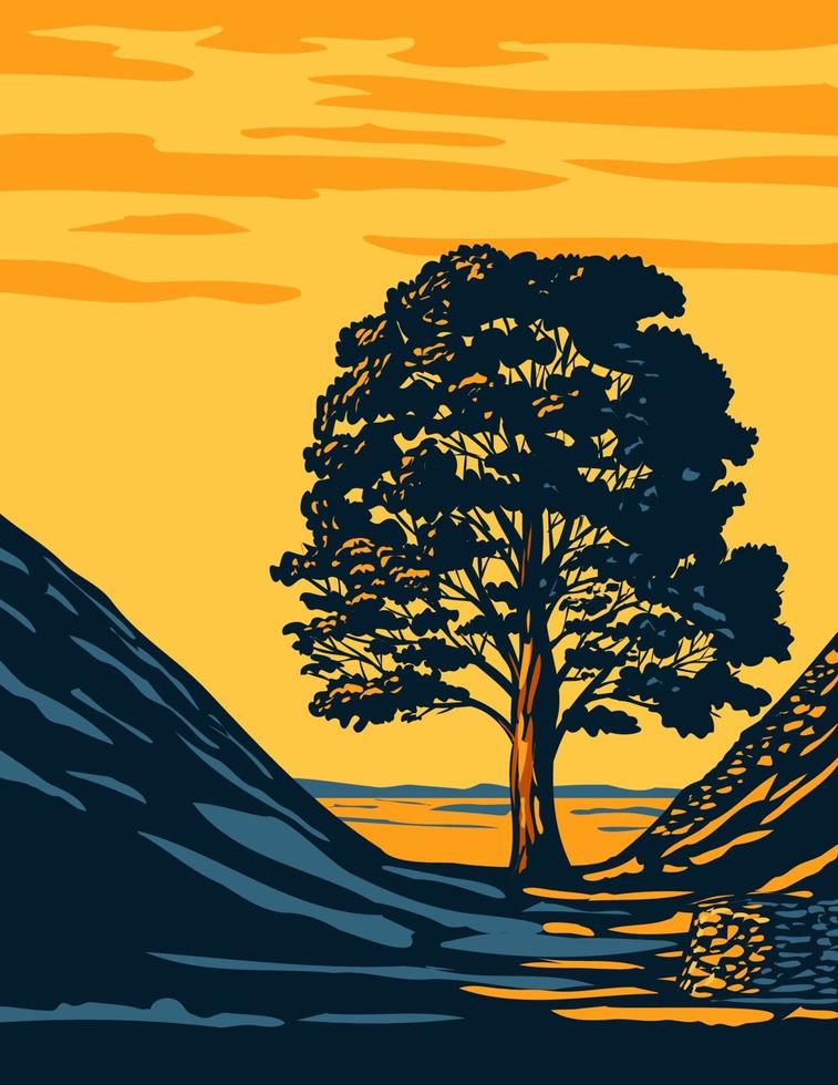 sycamore gap parque nacional de northumberland art deco wpa vector