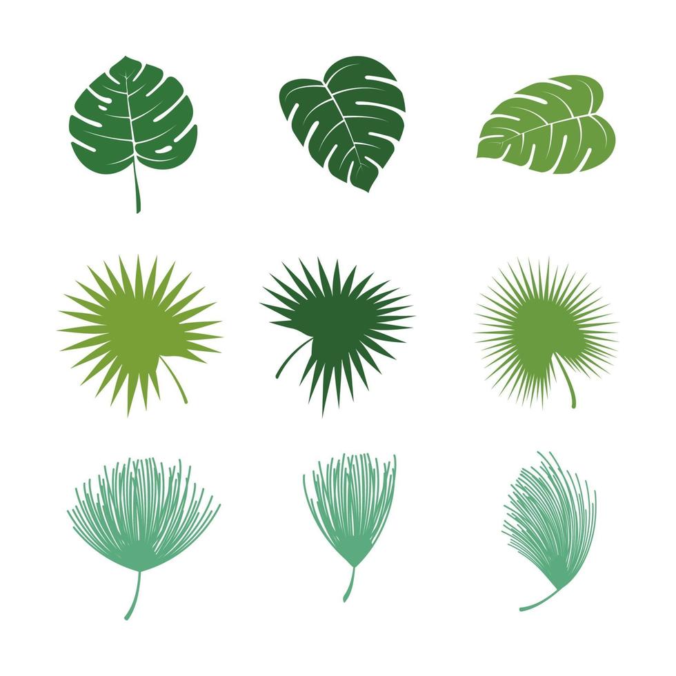 tropical leaf Vector icon design illustration