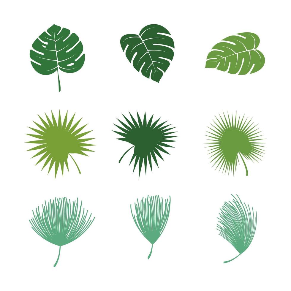 Ilustración de diseño de icono de vector de hoja tropical