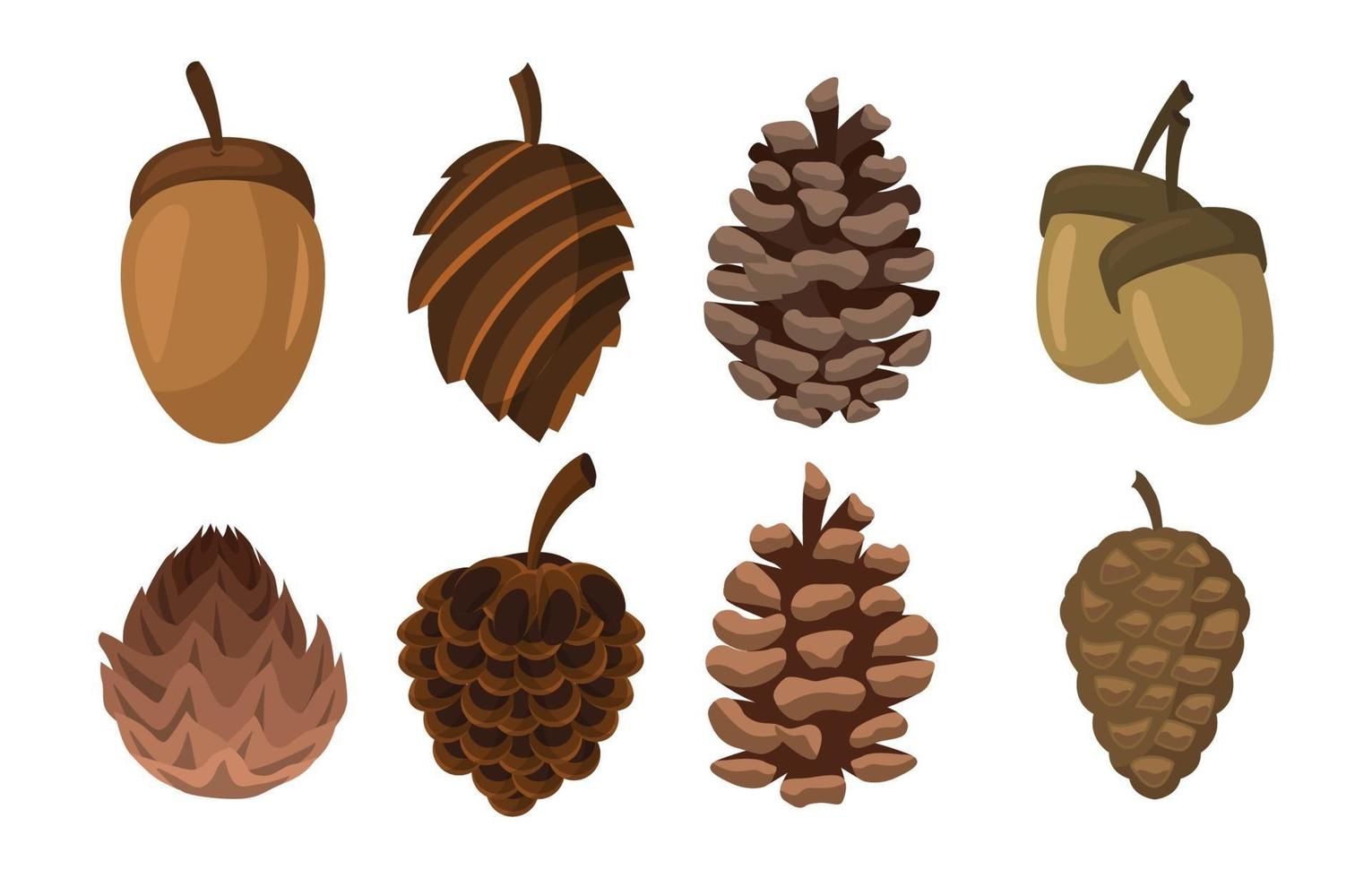 Pinecone Icon Collection vector