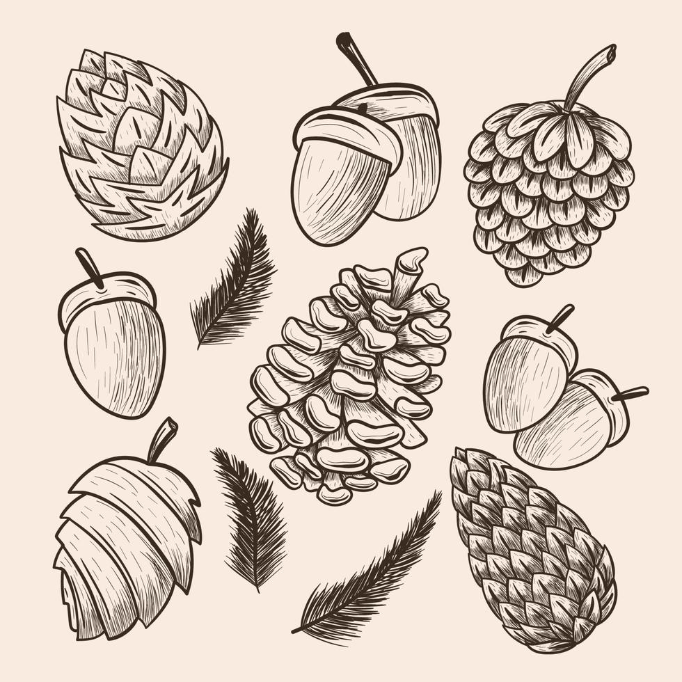 Pinecone Hand Draw Icon Set vector