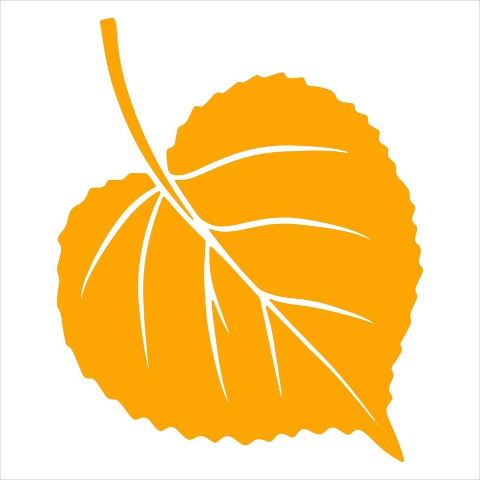 Carved autumn leaf. Nature bright leaves of trees. Abstraction. vector