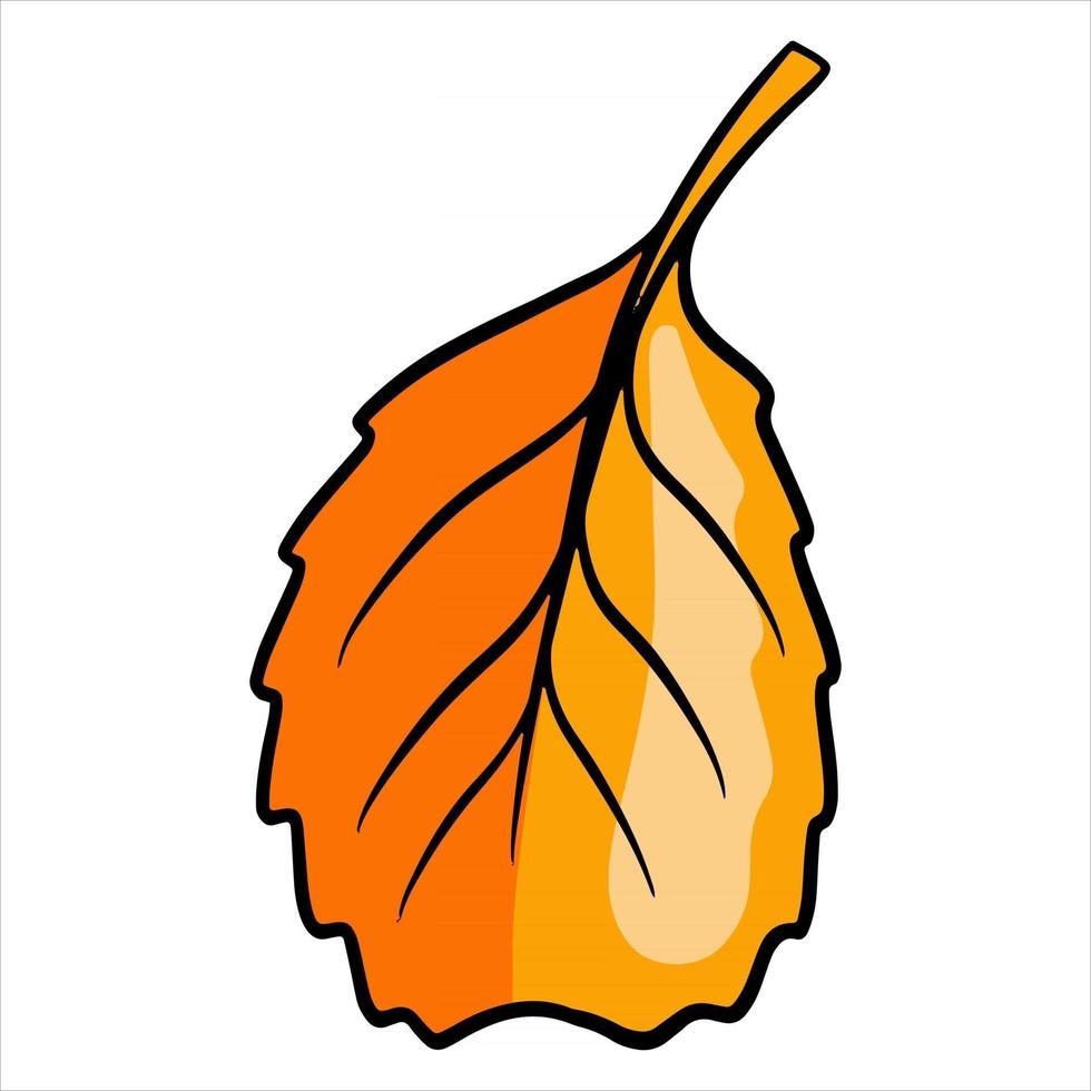 Carved autumn leaf. Nature bright leaves of trees. Cartoon style. vector