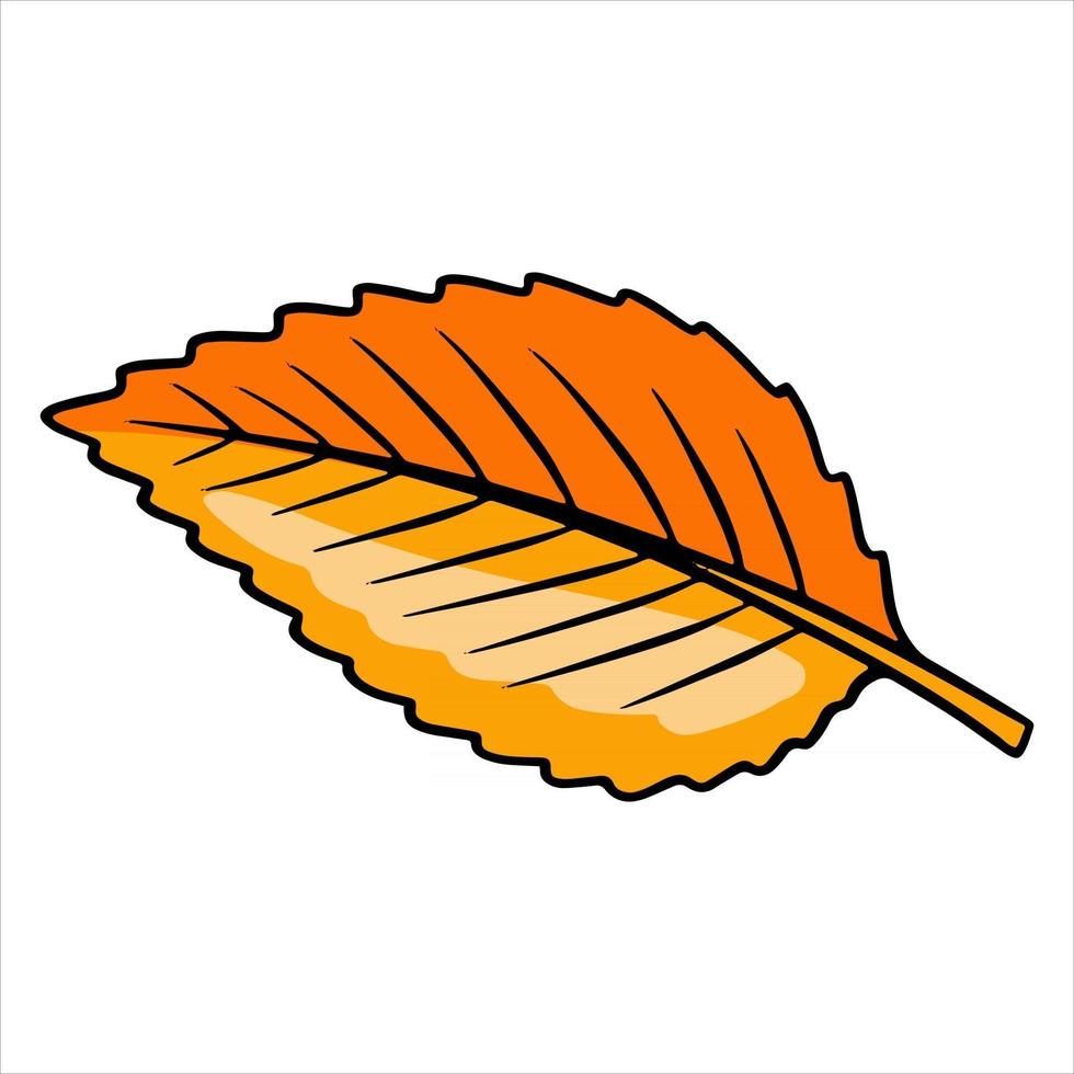Carved autumn leaf. Nature bright leaves of trees. Cartoon style. vector