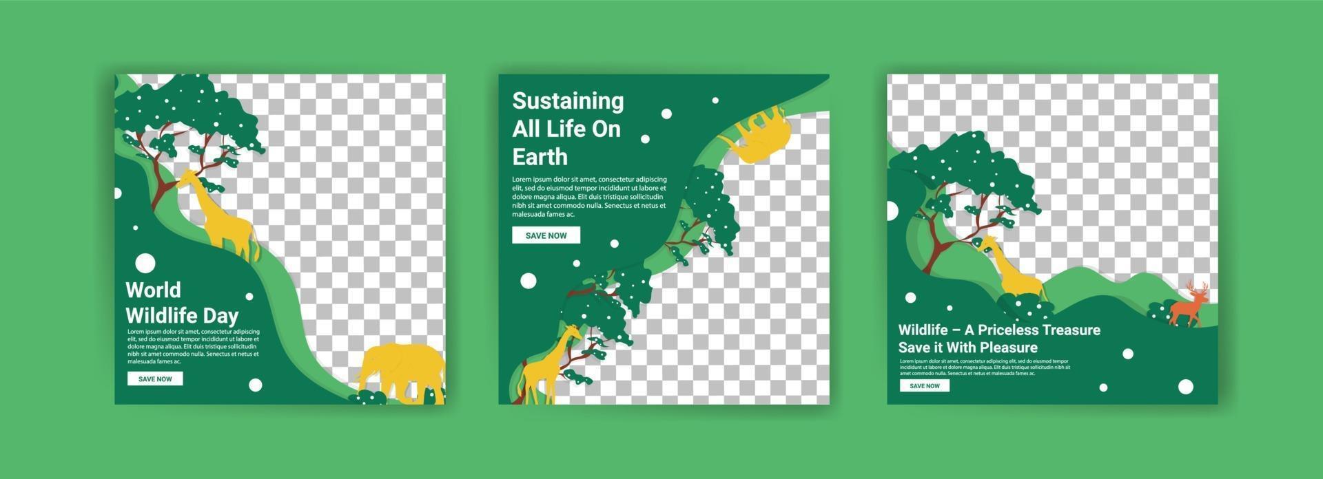 Social media templates for World Wildlife Day. vector