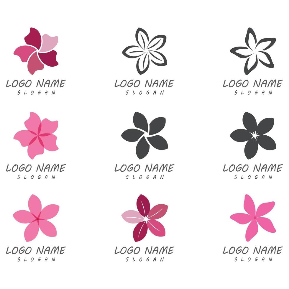 Beauty plumeria icon flowers design illustration Template vector