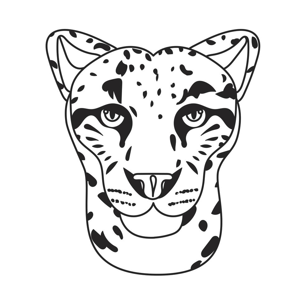 Wild cat, irbis, leopard, snow bars vector