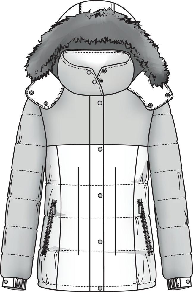 Quilt feather jacket parka with fur hood. Flat fashion sketch vector